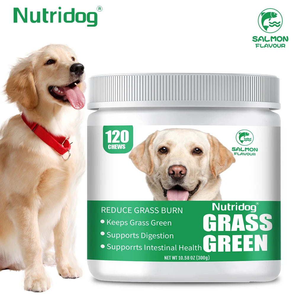 Cat Grass Growing Kit – Dog Treats