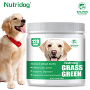 Cat Grass Growing Kit – Dog Treats thumbnail