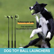 Dog Ball Launcher Throwing Pole — Fetch Toy – alternate view 4 thumbnail