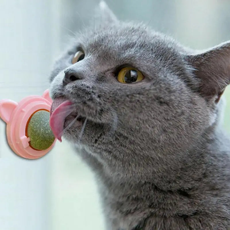 Catnip Energy Ball — Healthy Cat Treat & Toy – alternate view 4 of 8