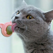Catnip Energy Ball — Healthy Cat Treat & Toy – alternate view 4 thumbnail