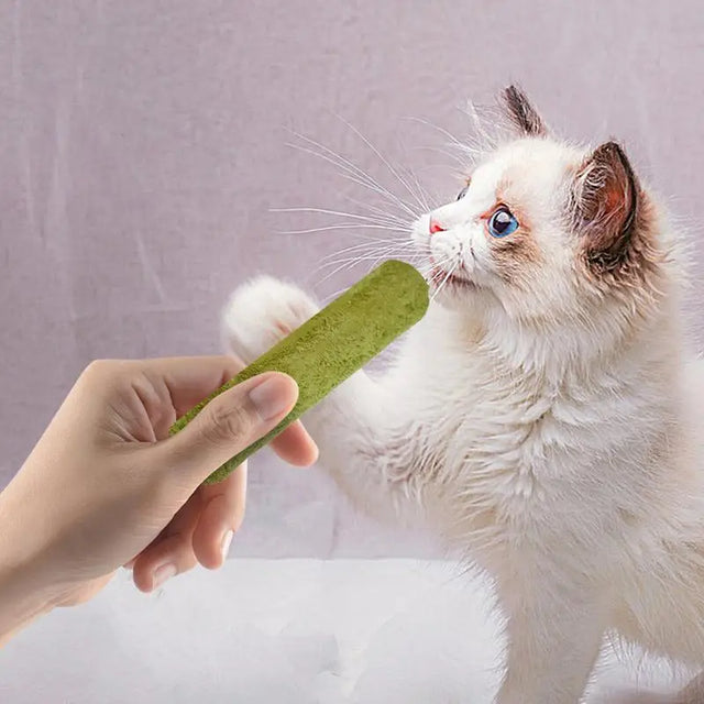 Doğal Kedi Çimi Çiğneme Çubukları — Diş ve Sindirim Sağlığına Yardımcı