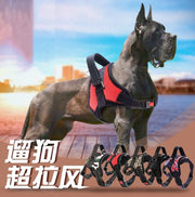 Reflective Adjustable Pet Harness with Leash — Cats & Dogs – Pet Walking thumbnail