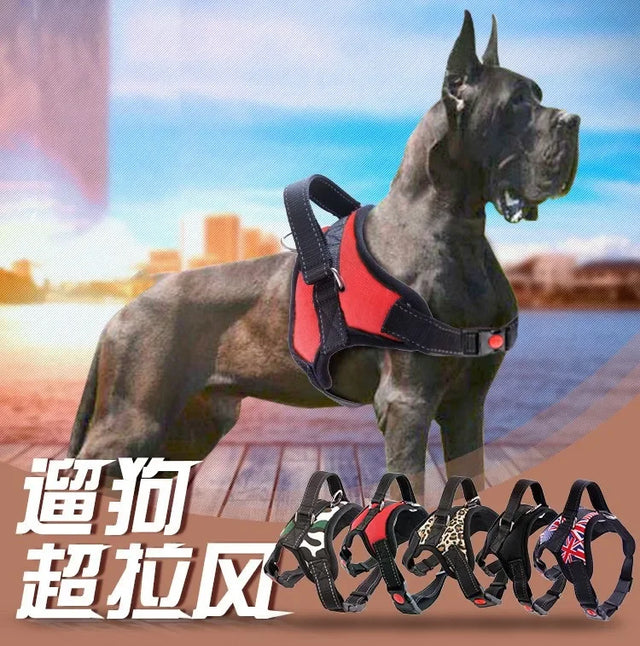 Reflective Adjustable Pet Harness with Leash — Cats & Dogs