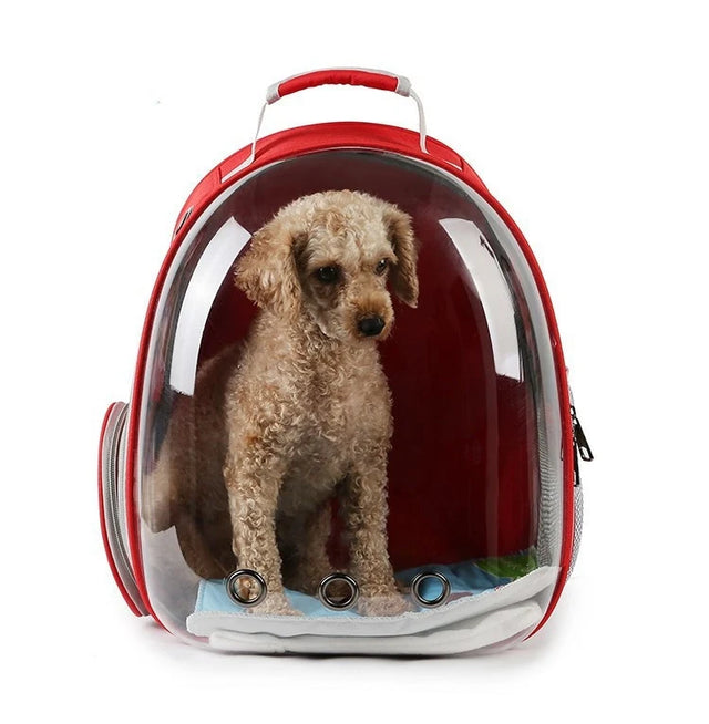 Bubble Window Pet Backpack Carrier — Airline-Style Travel Bag