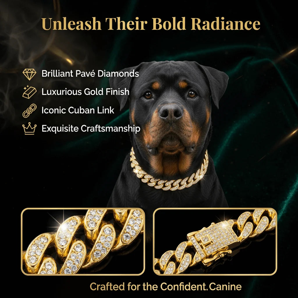 Gold-Tone Cuban Chain Fashion Collar for Dogs – Dog Apparel