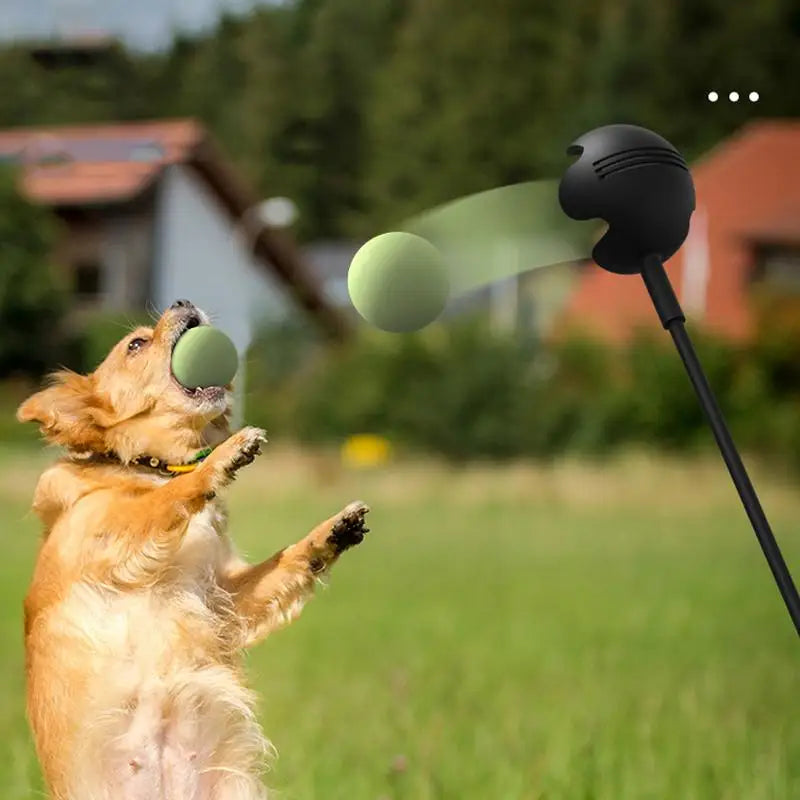 Dog Ball Launcher Throwing Pole — Fetch Toy – alternate view 5 of 6