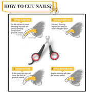 Pet Nail Grooming Scissors for Small Animals – alternate view 3 thumbnail