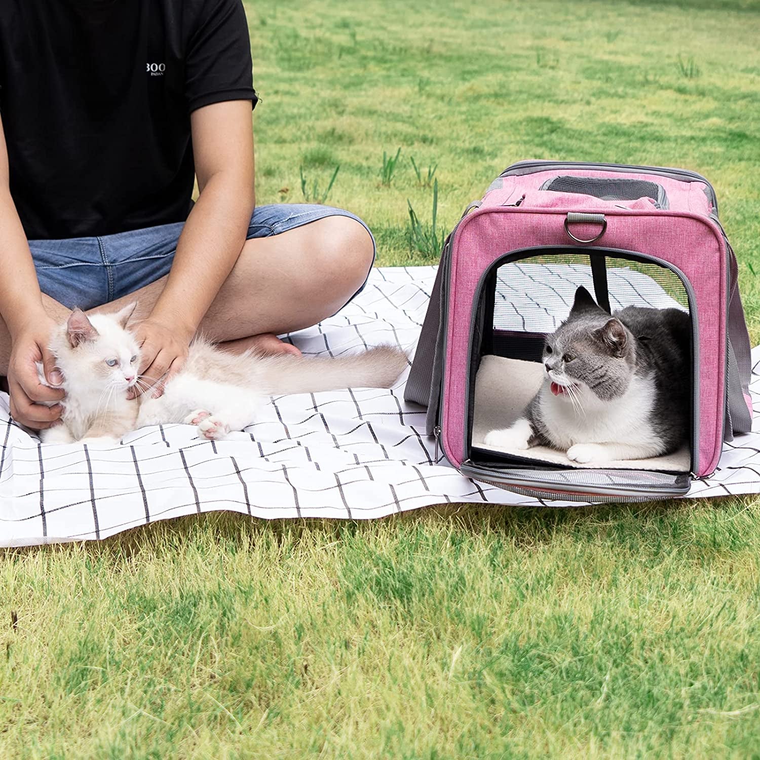 Weiche Tiertragetasche für große und mittelgroße Katzen – Reisetasche – alternate view 6 of 9
