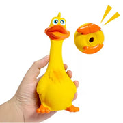 Squeaky Bottle Chew Toy – alternate view 5 thumbnail