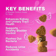 Cranberry Chews for Dogs — Bladder & Urinary Wellness Support – alternate view 2 thumbnail